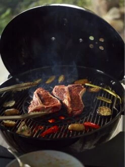 Barbecue Charbon Performer GBS Ø57cm Noir - Weber -France Barbecue Soldes 2024 performer gbs yi 57 cm black 2